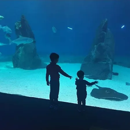 Acquario, Parcheggio, Shopping, Stazione, Aereo Апартаменты
