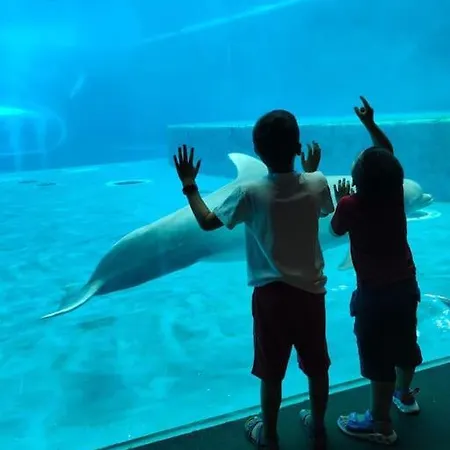 Acquario, Parcheggio, Shopping, Stazione, Aereo Appartamento Genova