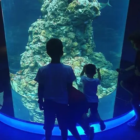 Acquario, Parcheggio, Shopping, Stazione, Aereo * Γένοβα