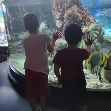 Acquario, Parcheggio, Shopping, Stazione, Aereo Διαμέρισμα Γένοβα